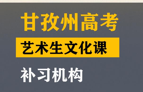 甘孜美术生文化课补习机构,高考文化课提分班