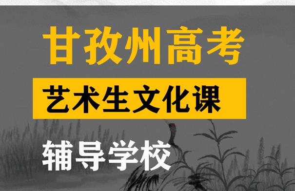 甘孜艺术生文化课辅导怎么收费,高考文化课培训班