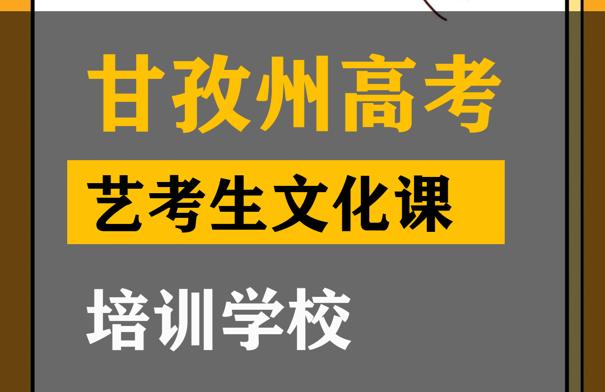 甘孜艺考生文化课培训怎么收费,高中文化课补课学校