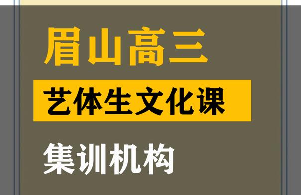 凉山体育生文化课集训机构,高中艺考文化课提分班