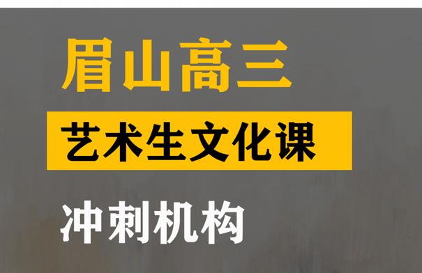 凉山传媒生文化课培训哪家好,高三艺术生文化课冲刺机构