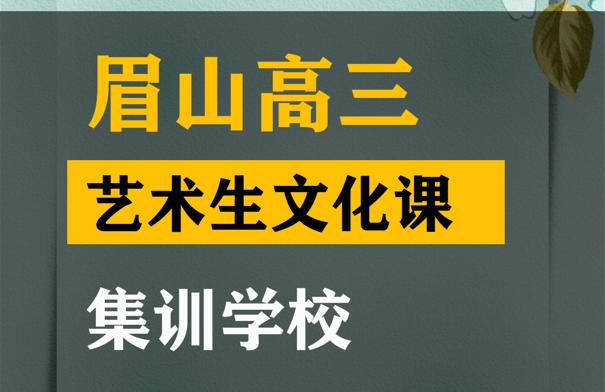 乐山音乐生文化课补习哪家好,高三艺术生文化课集训学校