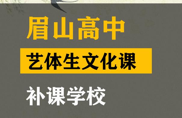 峨眉山市艺体生文化课补课班,高中文化课提分班