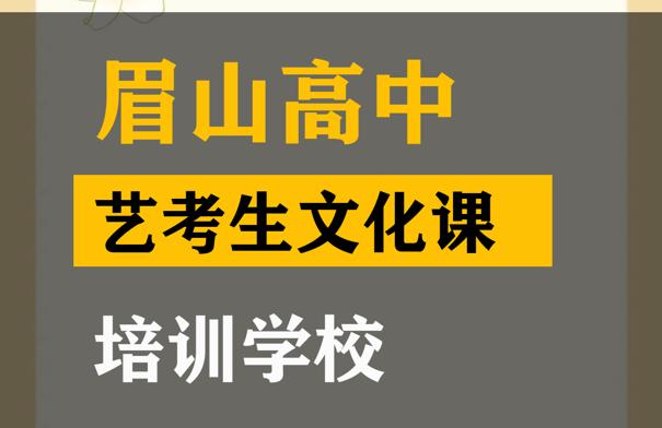 眉山美术生文化课冲刺机构,高三艺考生文化课培训学校