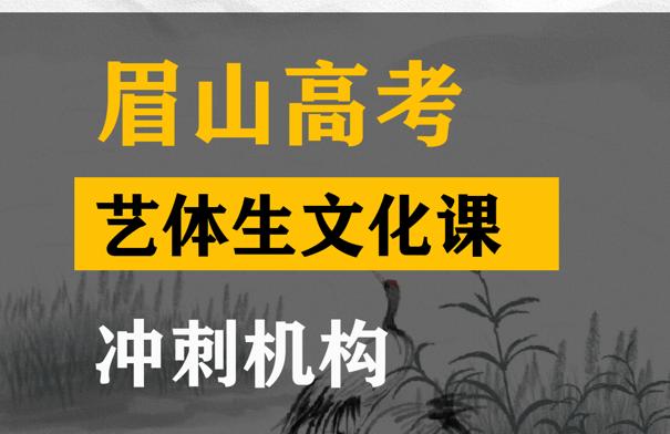 眉山体育生文化课冲刺机构,高三文化课集训班