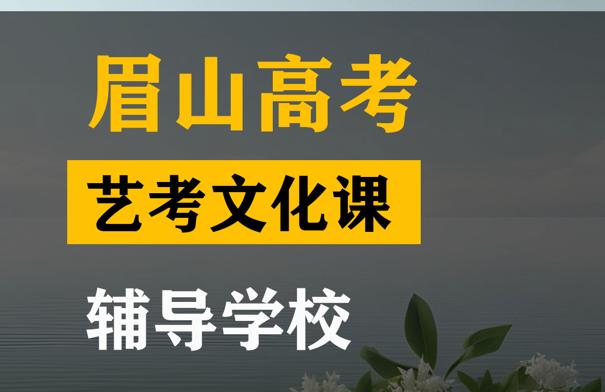 眉山艺体生文化课补习哪家好,高考艺考文化课辅导学校