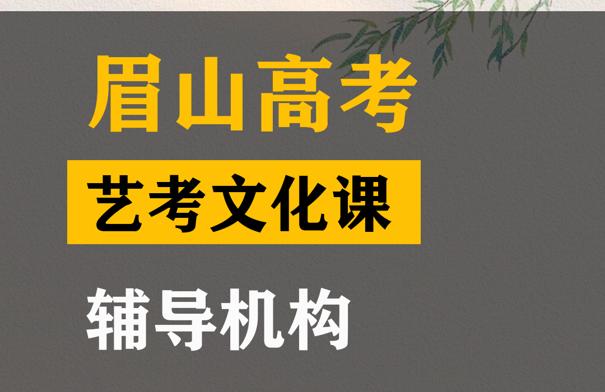 眉山传媒生文化课培训哪家好,高考文化课辅导机构