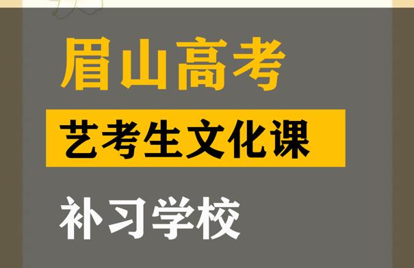 凉山艺考生文化课补习学校,高三艺术生文化课补习班