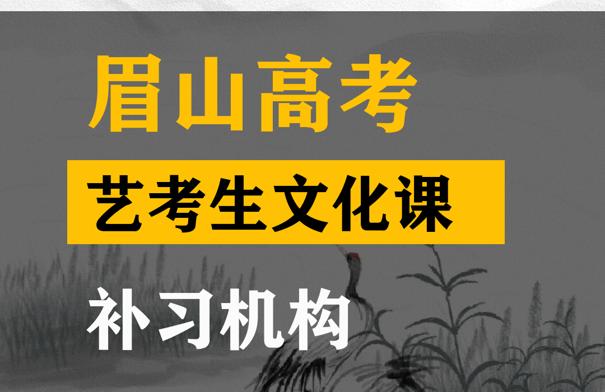 眉山艺考生文化课培训哪家好,高考文化课补习班