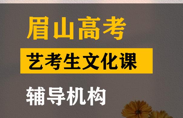 峨眉山市体育生文化课辅导机构,高三文化课冲刺班