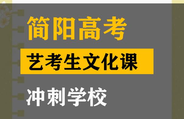 简阳市艺术生文化课冲刺学校,高中文化课提分班