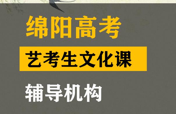 绵阳艺考生文化课辅导哪家好,高考文化课冲刺班