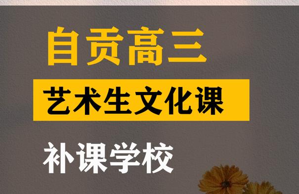 自贡传媒生文化课辅导怎么收费,高三文化课补课班