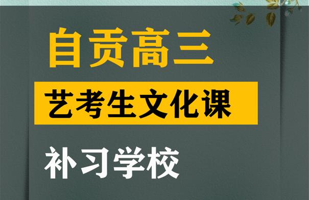 自贡艺考生文化课考哪些科目,高考文化课补习学校