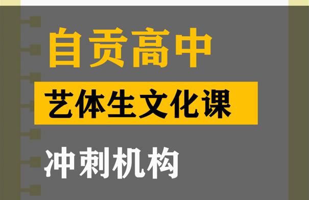 自贡艺体生文化课冲刺班,高中文化课冲刺机构