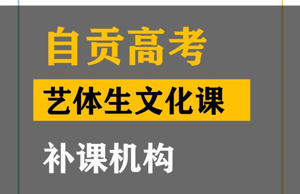 自贡艺体生文化课培训机构,高三文化课辅导机构