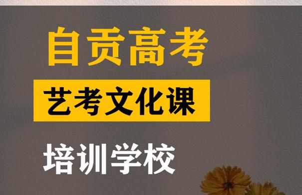 自贡美术生文化课培训班,高考文化课培训班