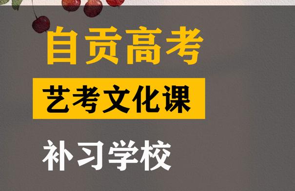 自贡艺考生文化课冲刺学校,高中艺考文化课补习学校