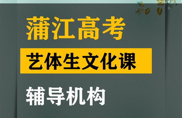 江油市表演生文化课辅导中心,高中文化课提分机构