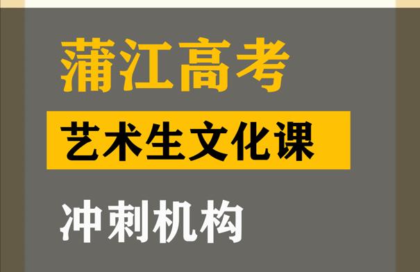 内江艺术生文化课冲刺班,高三文化课提分机构