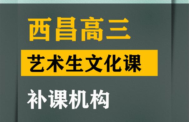 西昌市传媒生文化课冲刺学校,高三艺术生文化课补习机构