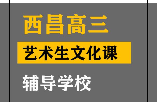 西昌市舞蹈生文化课补课机构,高三文化课辅导学校