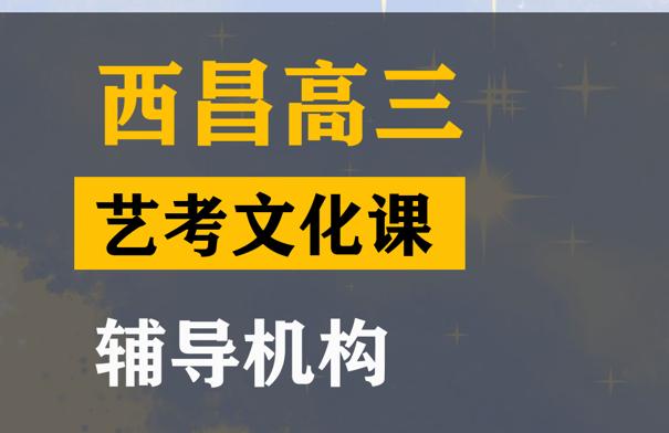 西昌传媒生文化课辅导班,高中艺考文化课辅导机构