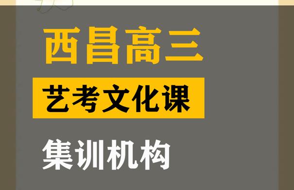 隆昌市音乐生文化课冲刺机构,高考文化课集训机构