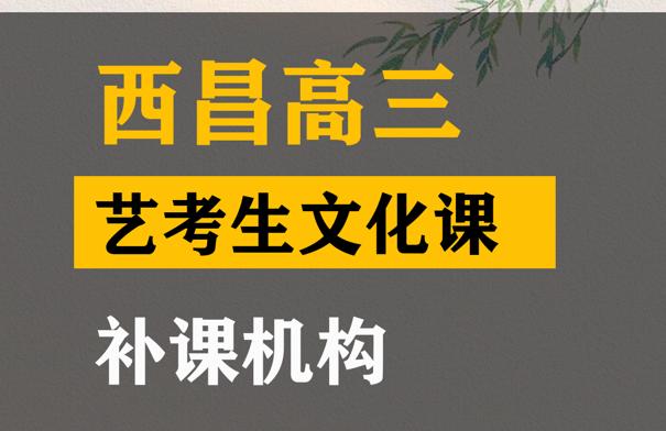 西昌市舞蹈生文化课培训学校,高三文化课补课机构