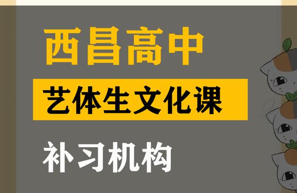 西昌音乐生文化课集训怎么收费,高中文化课补习机构