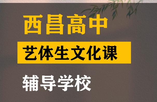 西昌体育生文化课辅导哪家好,高中文化课辅导班