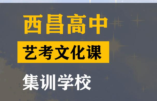 西昌市音乐生文化课冲刺机构,高中艺考文化课集训学校