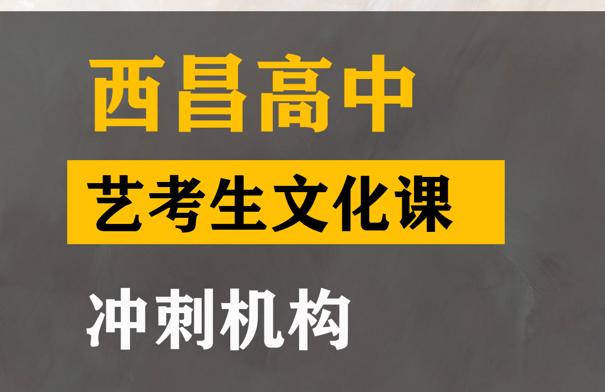 西昌市艺体生文化课冲刺机构,高考文化课提分班