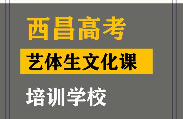 西昌艺体生文化课培训学校,高考文化课提分学校