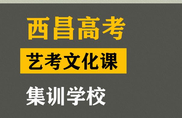 西昌市美术生文化课冲刺班,高考文化课集训班