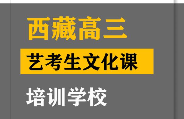 马尔康市艺考文化课辅导班,高三艺考生文化课培训学校