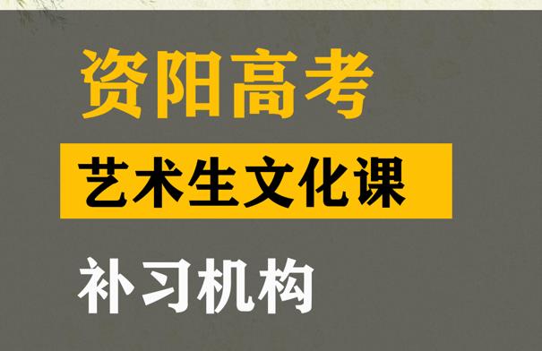 资阳美术生文化课补习机构,高考文化课培训班