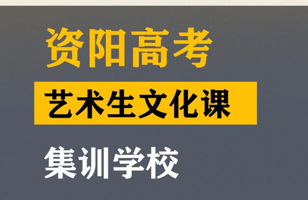 资阳艺术生文化课集训班,高中文化课提分班