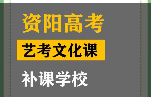 资阳音乐生文化课补习哪家好,高中文化课补课班