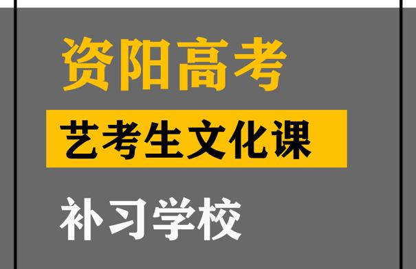 资阳美术生文化课培训机构,高考艺术生文化课补习学校