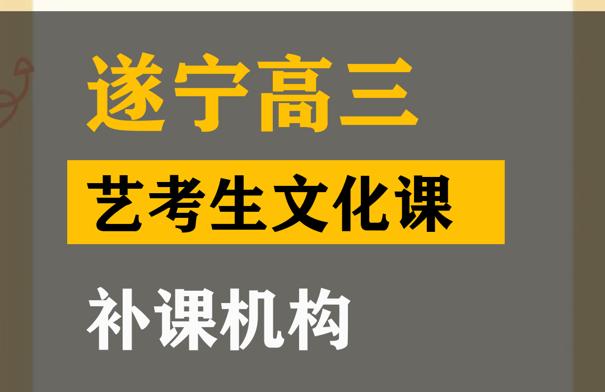 遂宁美术生文化课补习机构,高中文化课提分机构