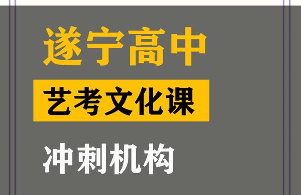 遂宁艺考生文化课补习怎么收费,高考艺考文化课冲刺班