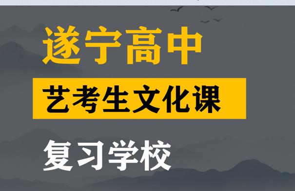 遂宁体育生文化课补习机构,高中艺考生文化课提分学校