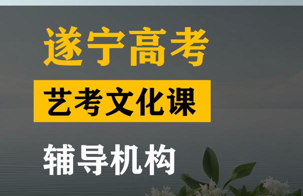 遂宁艺考生文化课冲刺机构,高考文化课辅导机构