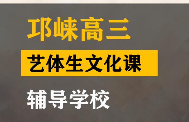 邛崃市音乐生文化课补课班,高三艺考生文化课辅导学校