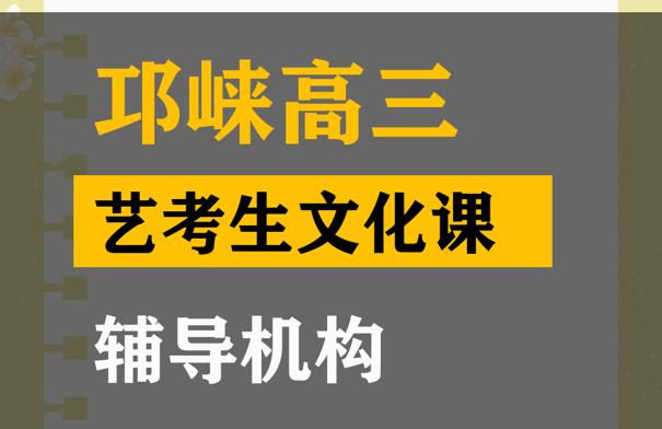 邛崃市美术生文化课培训学校,高考艺考生文化课辅导机构