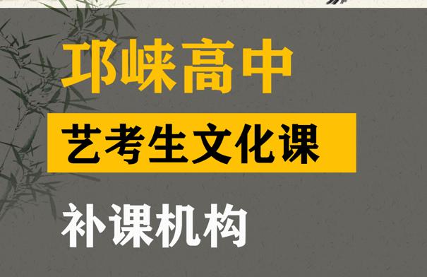 邛崃市艺体生文化课补课学校,高中艺考生文化课补课班