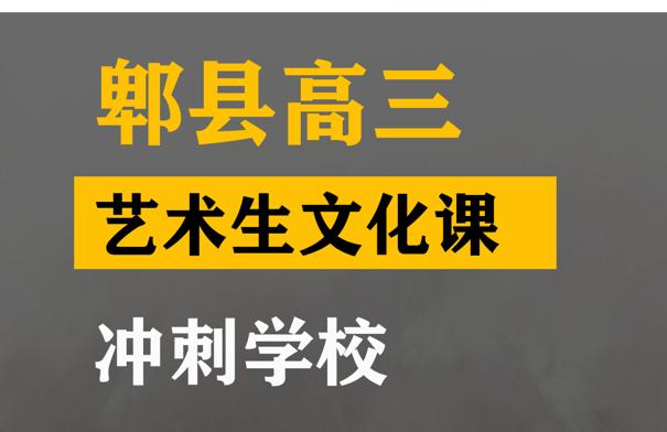 阿坝艺术生文化课集训怎么收费,高三艺术生文化课冲刺学校