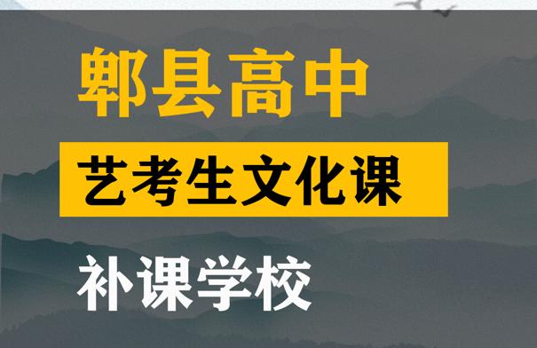 阆中市艺考生文化课补课学校,高三文化课集训班