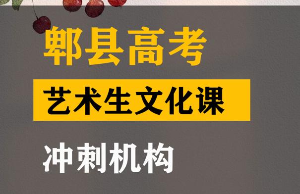 万源市传媒生文化课冲刺机构,高考艺术生文化课冲刺班